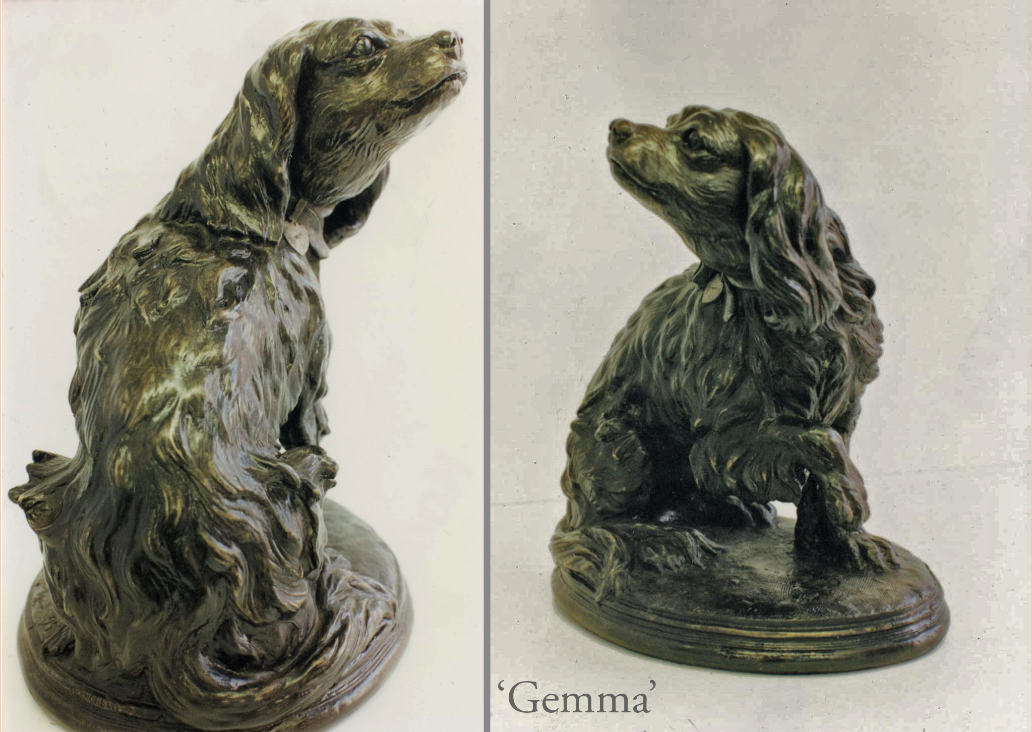 Gemma