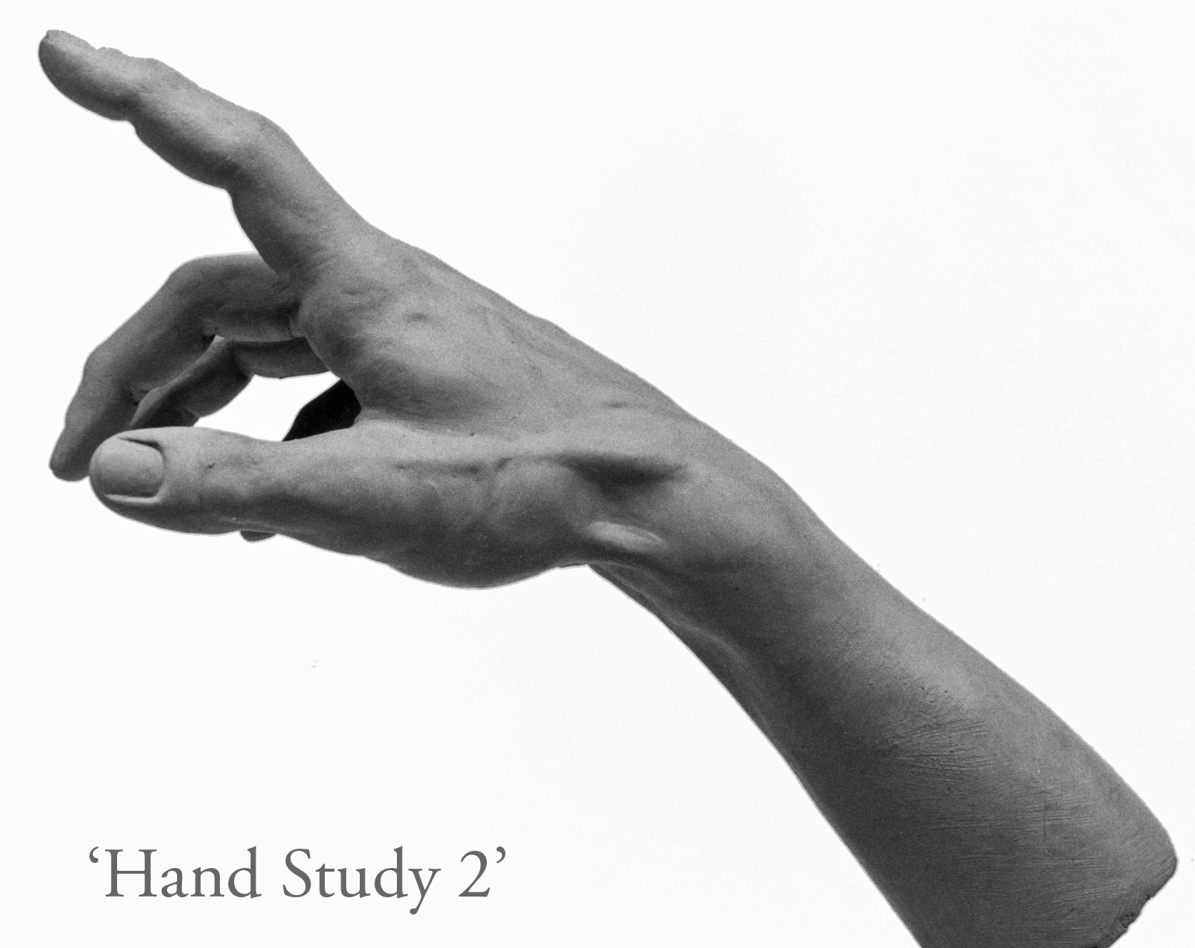 Hand Study 2